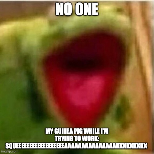 squeak | NO ONE; MY GUINEA PIG WHILE I'M TRYING TO WORK: SQUEEEEEEEEEEEEEEEEEEAAAAAAAAAAAAAAAKKKKKKKKK | image tagged in ahhhhhhhhhhhhh | made w/ Imgflip meme maker