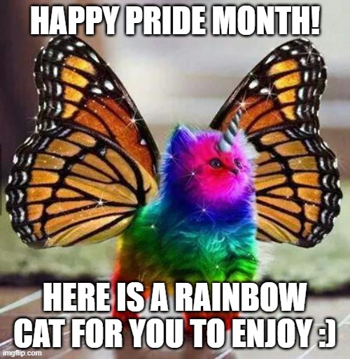 Happy pride month guys! | HAPPY PRIDE MONTH! HERE IS A RAINBOW CAT FOR YOU TO ENJOY :) | image tagged in rainbow unicorn butterfly kitten | made w/ Imgflip meme maker