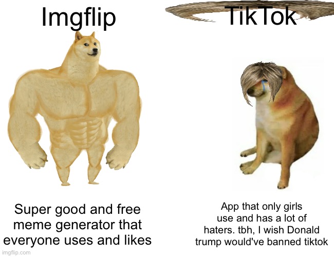 Imgflip vs TikTok | TikTok; Imgflip; Super good and free meme generator that everyone uses and likes; App that only girls use and has a lot of haters. tbh, I wish Donald trump would've banned tiktok | image tagged in memes,buff doge vs cheems | made w/ Imgflip meme maker