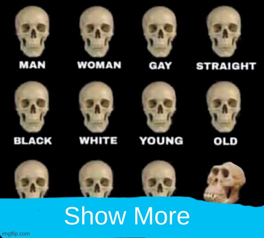 idiot skull | Show More | image tagged in idiot skull | made w/ Imgflip meme maker