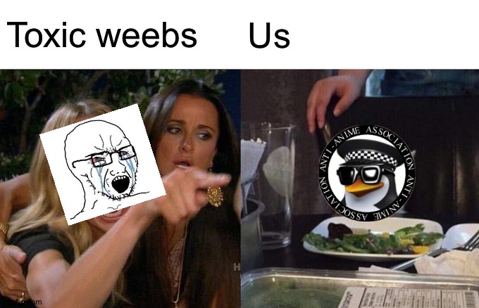 Woman Yelling At Cat | Toxic weebs; Us | image tagged in memes,woman yelling at cat | made w/ Imgflip meme maker