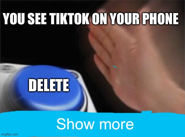Blank Nut Button | YOU SEE TIKTOK ON YOUR PHONE; DELETE; Show more | image tagged in memes,blank nut button | made w/ Imgflip meme maker