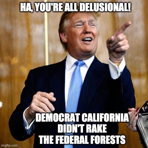 Donal Trump Birthday | HA, YOU'RE ALL DELUSIONAL! DEMOCRAT CALIFORNIA DIDN'T RAKE THE FEDERAL FORESTS | image tagged in donal trump birthday | made w/ Imgflip meme maker