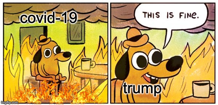 This Is Fine | covid-19; trump | image tagged in memes,this is fine | made w/ Imgflip meme maker