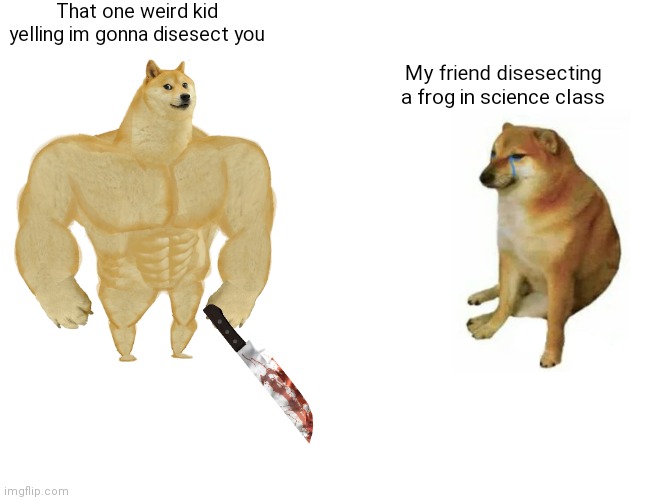 Not true in my class and i hope not yours | That one weird kid yelling im gonna disesect you; My friend disesecting a frog in science class | image tagged in memes,buff doge vs cheems | made w/ Imgflip meme maker