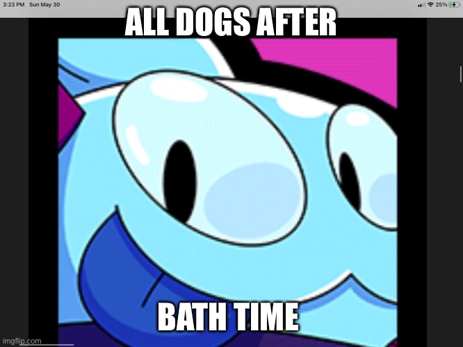 My first meme | ALL DOGS AFTER; BATH TIME | image tagged in funny,funny memes | made w/ Imgflip meme maker