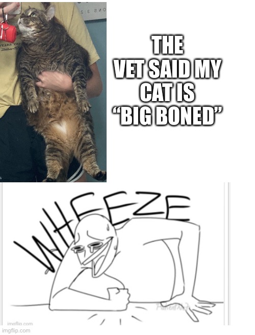 kitty kat is pretty fat | THE VET SAID MY CAT IS “BIG BONED” | image tagged in blank white template | made w/ Imgflip meme maker