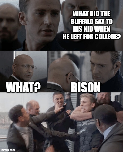 Captain america elevator | WHAT DID THE BUFFALO SAY TO HIS KID WHEN HE LEFT FOR COLLEGE? WHAT? BISON | image tagged in captain america elevator | made w/ Imgflip meme maker
