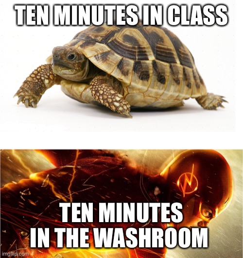 Slow vs Fast Meme | TEN MINUTES IN CLASS; TEN MINUTES IN THE WASHROOM | image tagged in slow vs fast meme,washroom,turtle,flash,the flash,school | made w/ Imgflip meme maker