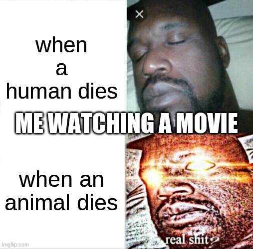 real s*** | when a human dies; ME WATCHING A MOVIE; when an animal dies | image tagged in memes,sleeping shaq | made w/ Imgflip meme maker