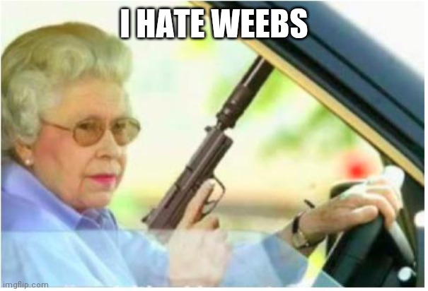 grandma gun weeb killer | I HATE WEEBS | image tagged in grandma gun weeb killer | made w/ Imgflip meme maker