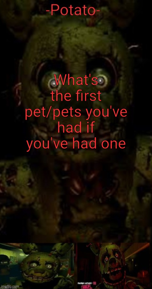 -potato- fnaf 3 SPRINGTRAP announcement | What's the first pet/pets you've had if you've had one | image tagged in -potato- fnaf 3 springtrap announcement | made w/ Imgflip meme maker
