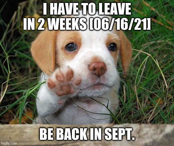 Bye, thanks for all ya support etc. |  I HAVE TO LEAVE IN 2 WEEKS [06/16/21]; BE BACK IN SEPT. | image tagged in dog puppy bye,goodbye | made w/ Imgflip meme maker