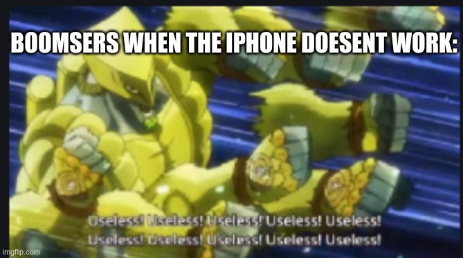 boomers be like | BOOMSERS WHEN THE IPHONE DOESENT WORK: | image tagged in useless useless useless | made w/ Imgflip meme maker