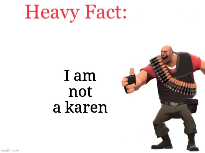 Untitled image | I am not a karen | image tagged in heavy fact | made w/ Imgflip meme maker