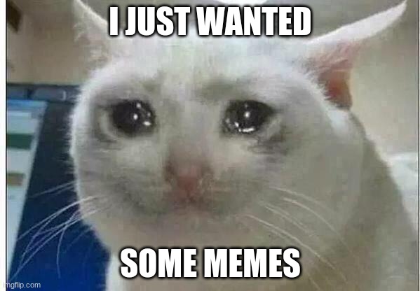 crying cat | I JUST WANTED; SOME MEMES | image tagged in crying cat | made w/ Imgflip meme maker