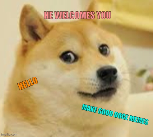 he welcomes you | HE WELCOMES YOU; HELLO; MAKE GOOD DOGE MEMES | image tagged in doge,welcome,you | made w/ Imgflip meme maker