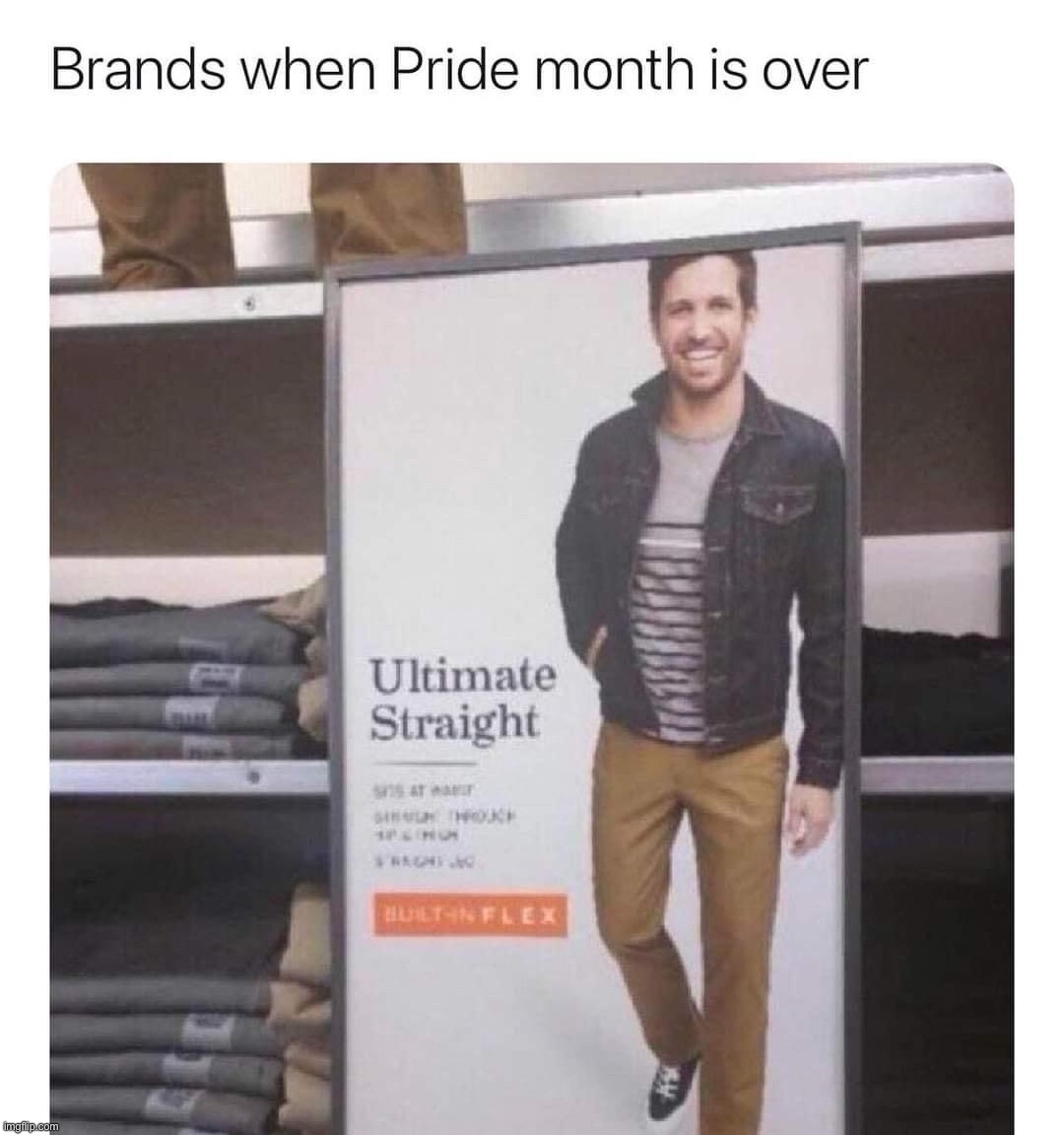 It really do be like that | image tagged in brands when pride month is over,pride,gay pride,straight,repost | made w/ Imgflip meme maker