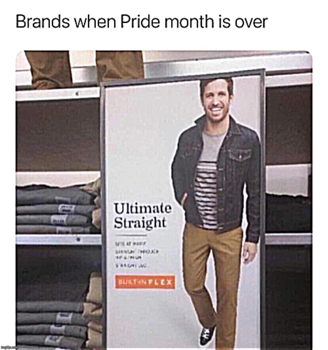 Eyyyy we get the other 11 months | image tagged in brands when pride month is over | made w/ Imgflip meme maker