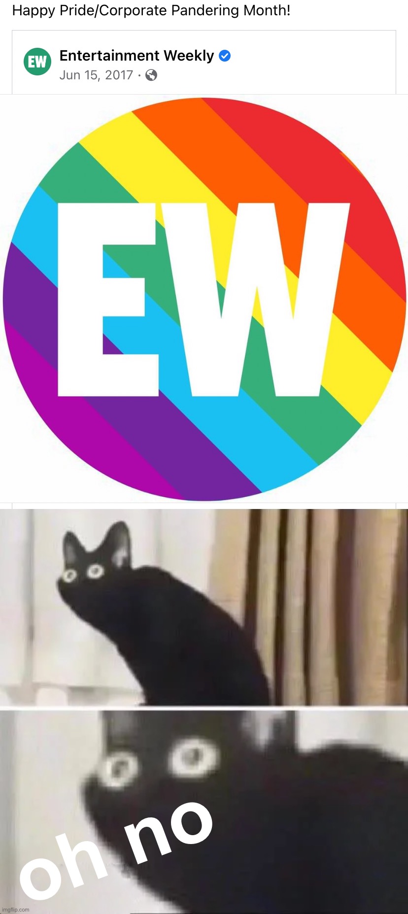 Corporate pandering gone wrong | oh no | image tagged in pride month corporate pandering,oh no black cat | made w/ Imgflip meme maker