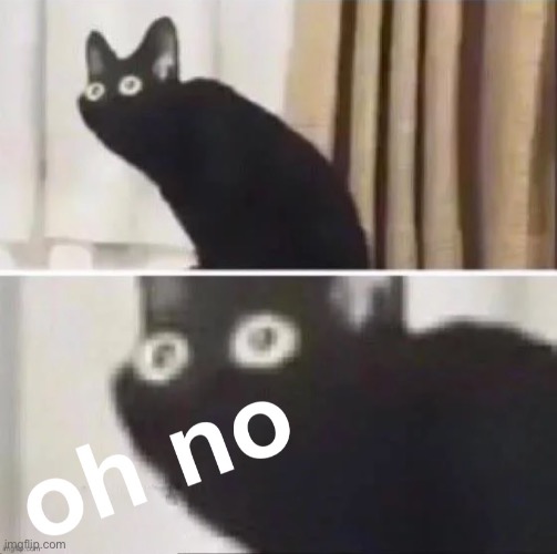 Oh no cat redux | image tagged in oh no cat redux | made w/ Imgflip meme maker