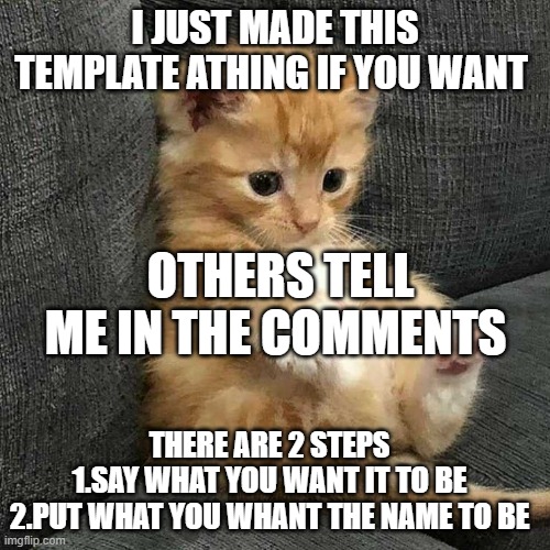tell me what other meme templates you want ..make sure you tell other people about this so they can put there idea | I JUST MADE THIS TEMPLATE ATHING IF YOU WANT; OTHERS TELL ME IN THE COMMENTS; THERE ARE 2 STEPS
1.SAY WHAT YOU WANT IT TO BE
2.PUT WHAT YOU WHANT THE NAME TO BE | image tagged in sad kitty | made w/ Imgflip meme maker