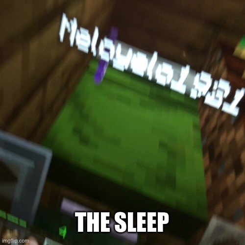 Cursed_Sleep | THE SLEEP | image tagged in minecraft,video games,gaming,lol,cursed image,random | made w/ Imgflip meme maker