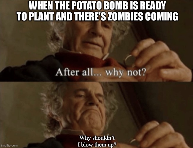 After all.. why not? | WHEN THE POTATO BOMB IS READY TO PLANT AND THERE’S ZOMBIES COMING; Why shouldn’t I blow them up? | image tagged in after all why not | made w/ Imgflip meme maker