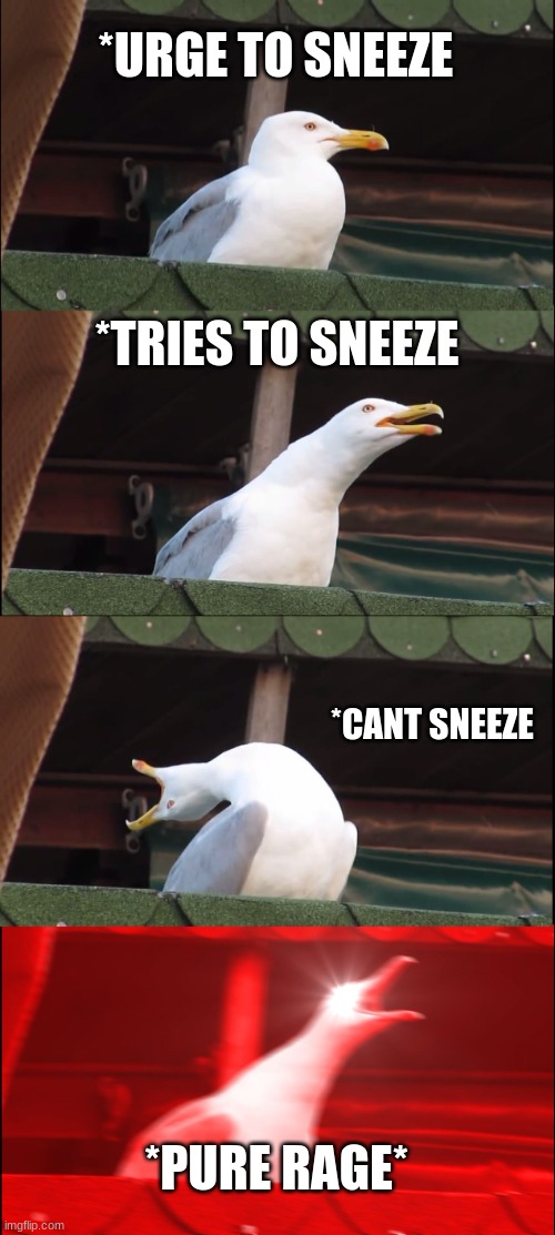 Who an relate | *URGE TO SNEEZE; *TRIES TO SNEEZE; *CANT SNEEZE; *PURE RAGE* | image tagged in memes,inhaling seagull | made w/ Imgflip meme maker