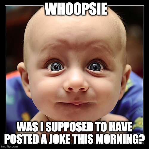 whoopsie |  WHOOPSIE; WAS I SUPPOSED TO HAVE POSTED A JOKE THIS MORNING? | image tagged in funny baby,jokes,baby | made w/ Imgflip meme maker