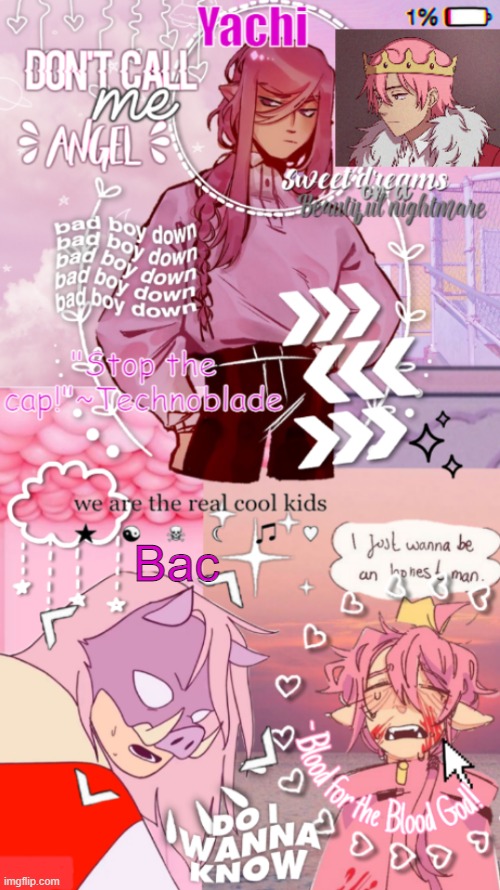 Yachi's technoblade temp | Bac | image tagged in yachi's technoblade temp | made w/ Imgflip meme maker