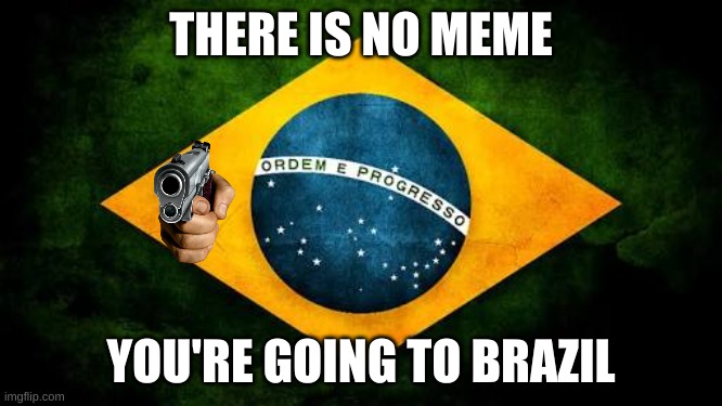 Brazil flag | THERE IS NO MEME; YOU'RE GOING TO BRAZIL | image tagged in brazil flag | made w/ Imgflip meme maker