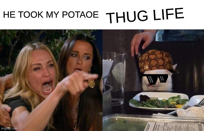 This Is Just Bcs I was Board | HE TOOK MY POTAOE; THUG LIFE | image tagged in memes,woman yelling at cat | made w/ Imgflip meme maker