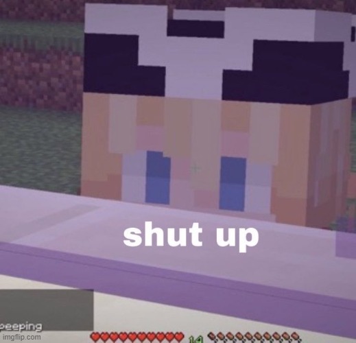 Tubbo shut up | image tagged in tubbo shut up | made w/ Imgflip meme maker