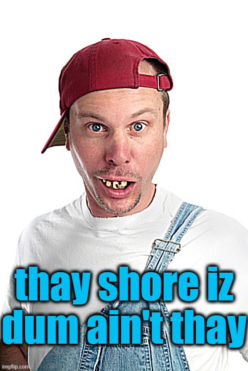 dumb | thay shore iz dum ain't thay | image tagged in dumb | made w/ Imgflip meme maker