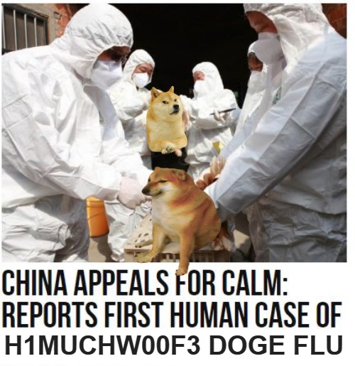 MUCH WOW FLU AMAZE | H1MUCHW00F3 DOGE FLU | image tagged in doge,flu,china shibe | made w/ Imgflip meme maker