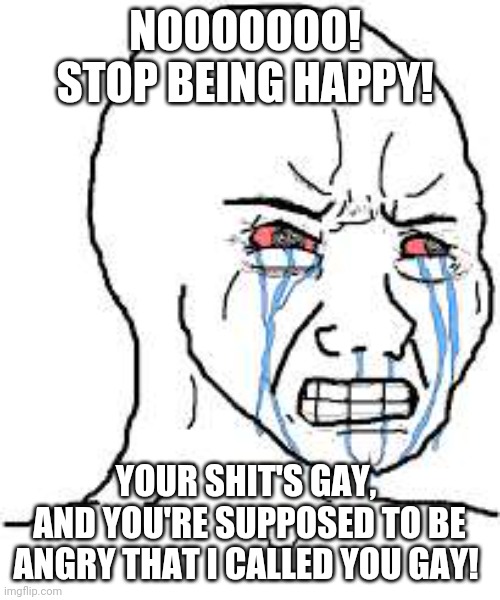 Wojak  | NOOOOOOO! 
STOP BEING HAPPY! YOUR SHIT'S GAY, 
AND YOU'RE SUPPOSED TO BE ANGRY THAT I CALLED YOU GAY! | image tagged in wojak | made w/ Imgflip meme maker