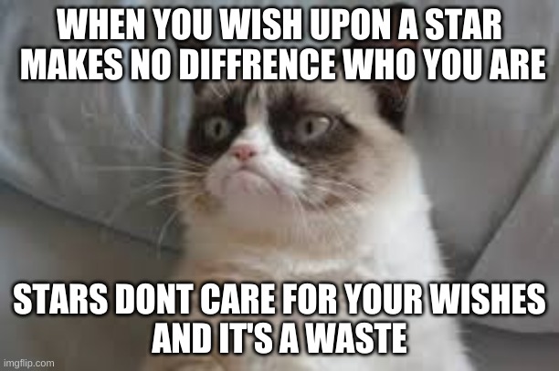 When You Wish Upon A Star | WHEN YOU WISH UPON A STAR
 MAKES NO DIFFRENCE WHO YOU ARE; STARS DONT CARE FOR YOUR WISHES
AND IT'S A WASTE | image tagged in grumpy cat,disney | made w/ Imgflip meme maker