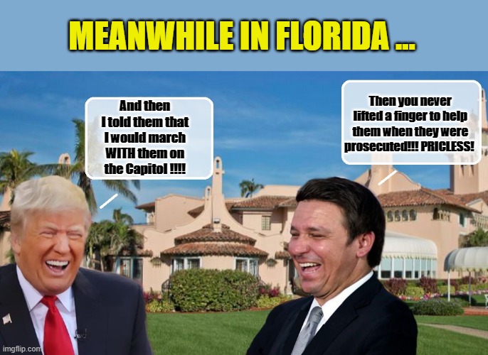 SUCKERS!!!!! | MEANWHILE IN FLORIDA ... Then you never lifted a finger to help them when they were prosecuted!!! PRICLESS! And then I told them that I would march WITH them on the Capitol !!!! | image tagged in donald trump,trump is a moron,suckers,trump meme,florida man | made w/ Imgflip meme maker