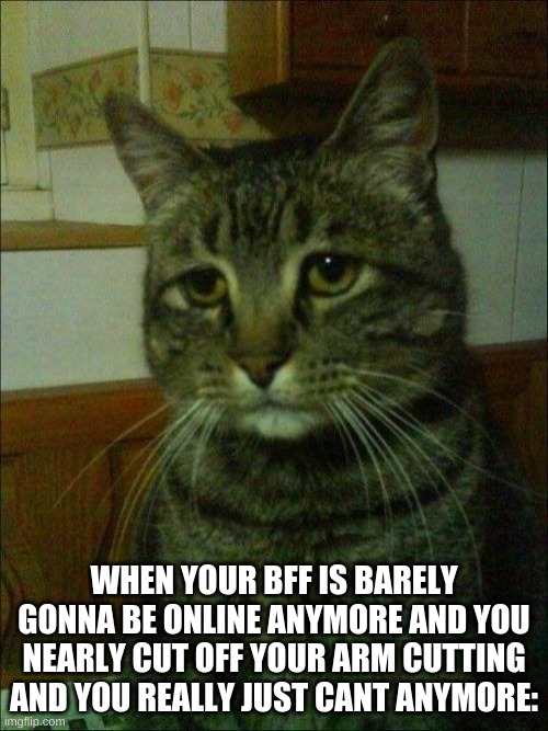 *sigh* | WHEN YOUR BFF IS BARELY GONNA BE ONLINE ANYMORE AND YOU NEARLY CUT OFF YOUR ARM CUTTING AND YOU REALLY JUST CANT ANYMORE: | image tagged in memes,depressed cat | made w/ Imgflip meme maker
