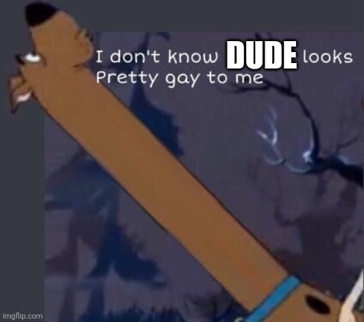 i dont know shaggy looks pretty gay to me | DUDE | image tagged in i dont know shaggy looks pretty gay to me | made w/ Imgflip meme maker