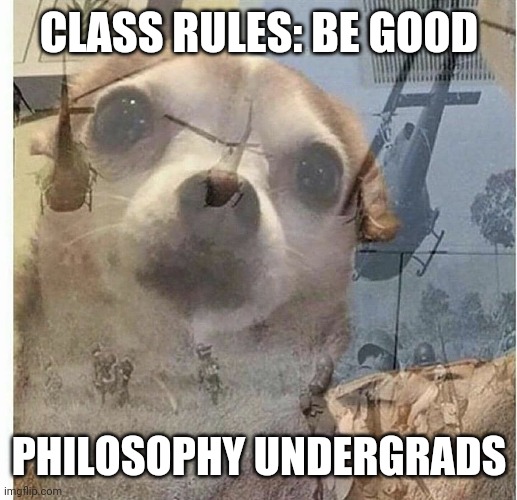 PTSD Chihuahua | CLASS RULES: BE GOOD; PHILOSOPHY UNDERGRADS | image tagged in ptsd chihuahua,good,philosophy,philosopher,the good | made w/ Imgflip meme maker