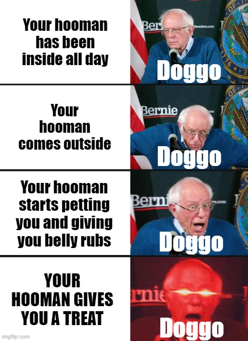 Bernie Sanders reaction (nuked) | Your hooman has been inside all day; Doggo; Your hooman comes outside; Doggo; Your hooman starts petting you and giving you belly rubs; Doggo; YOUR HOOMAN GIVES YOU A TREAT; Doggo | image tagged in bernie sanders reaction nuked,doggo | made w/ Imgflip meme maker