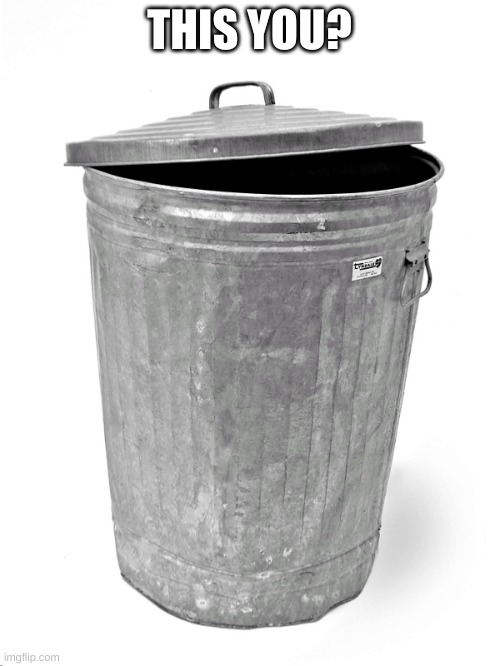 Trash Can | THIS YOU? | image tagged in trash can | made w/ Imgflip meme maker