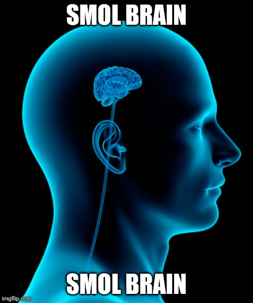 small brain | SMOL BRAIN SMOL BRAIN | image tagged in small brain | made w/ Imgflip meme maker