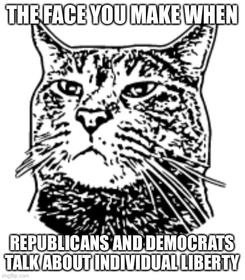Libertarian cat |  THE FACE YOU MAKE WHEN; REPUBLICANS AND DEMOCRATS TALK ABOUT INDIVIDUAL LIBERTY | image tagged in libertarian,cat | made w/ Imgflip meme maker