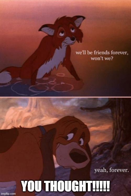 Fox and the hound | YOU THOUGHT!!!!! | image tagged in fox and the hound | made w/ Imgflip meme maker