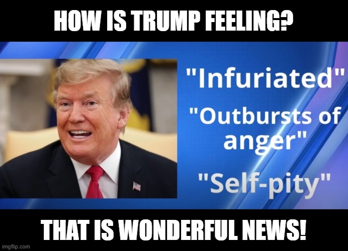 Karma is a Bitch, Asshole! | HOW IS TRUMP FEELING? THAT IS WONDERFUL NEWS! | image tagged in trump is an asshole,criminal,liar,the big lie,twice impeached,psychopath | made w/ Imgflip meme maker