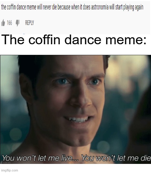 The coffin dance meme: | image tagged in blank template,you won't let me live you won't let me die,coffin dance,coffin meme,coffin,memes | made w/ Imgflip meme maker