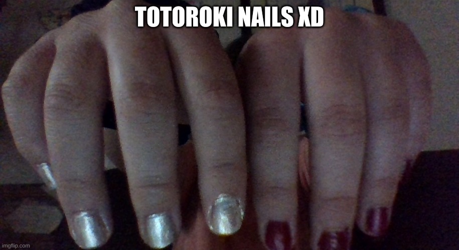 TOTOROKI NAILS XD | made w/ Imgflip meme maker